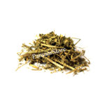 Dodder