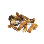 Indian Valerian